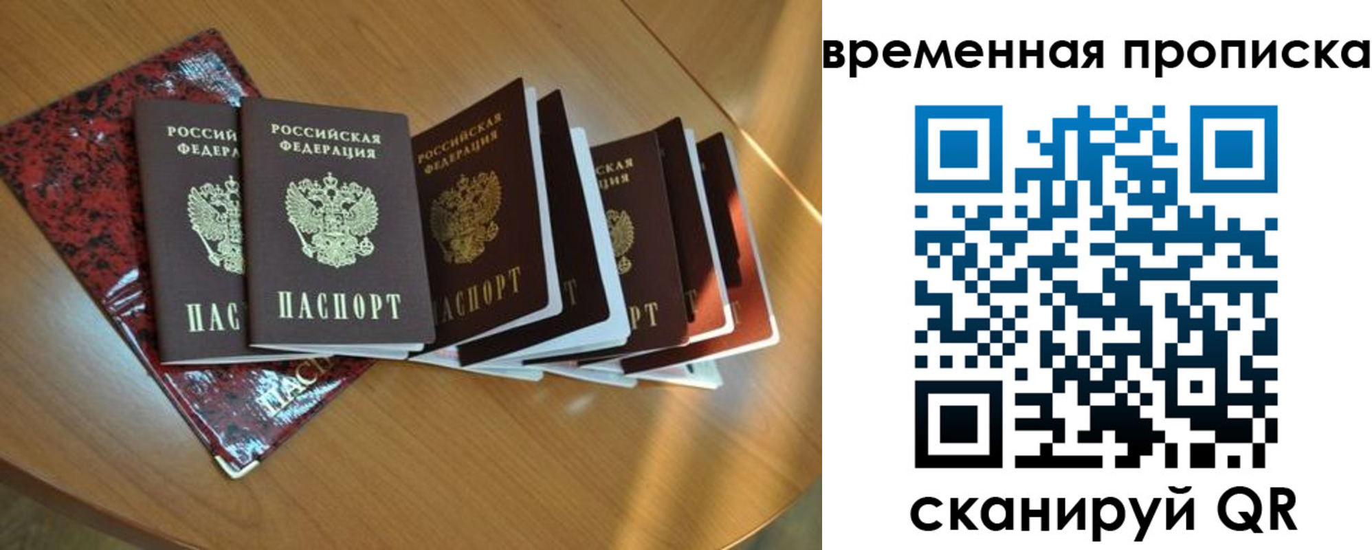 прописка в Тосно