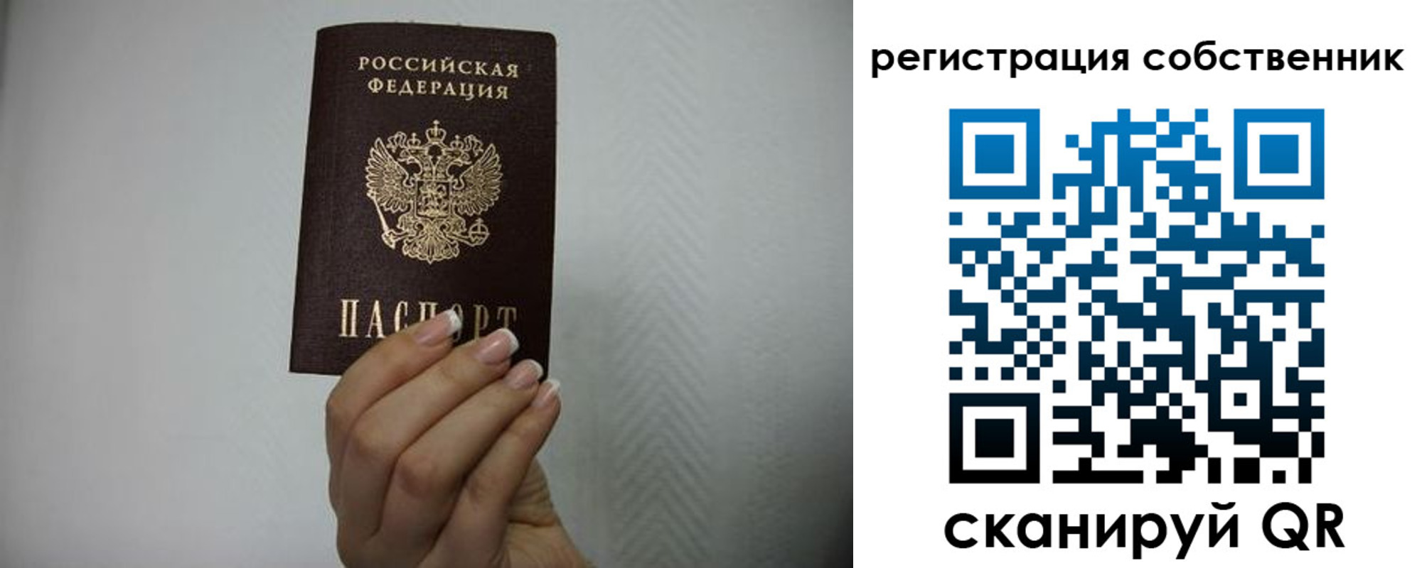 регистрация для дет. сада в Тосно